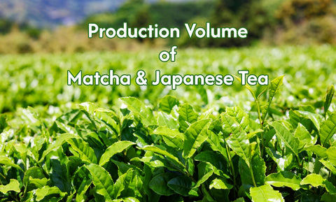 Production Areas and Volumes of Japanese Tea and Matcha in Japan