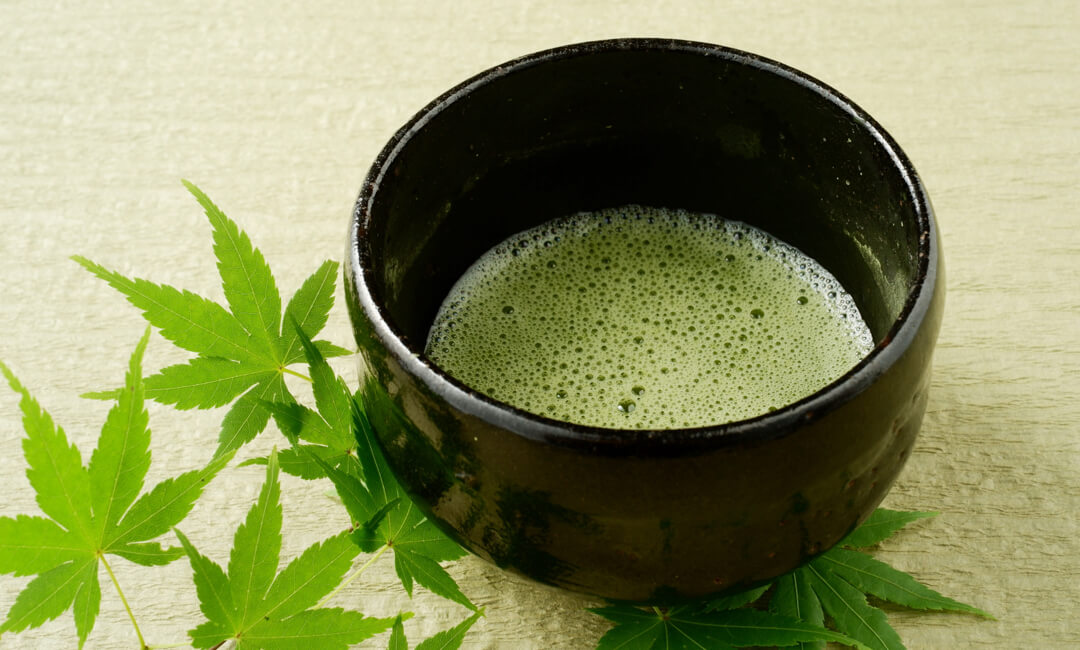 Exploring the Health Benefits of Matcha: Nutrients that Support Wellness and Relaxation